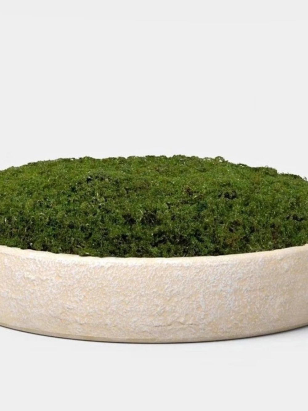 Threshold Moss Bowl Decor in Green & Cream